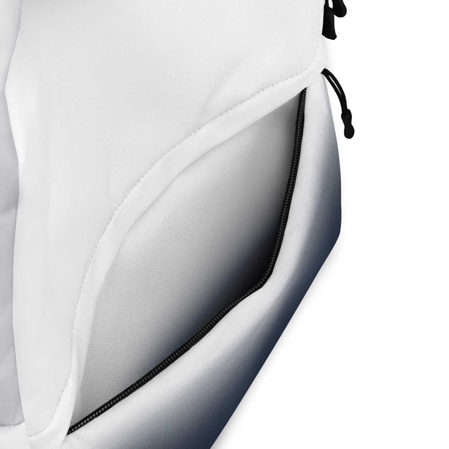 Ombre Backpack