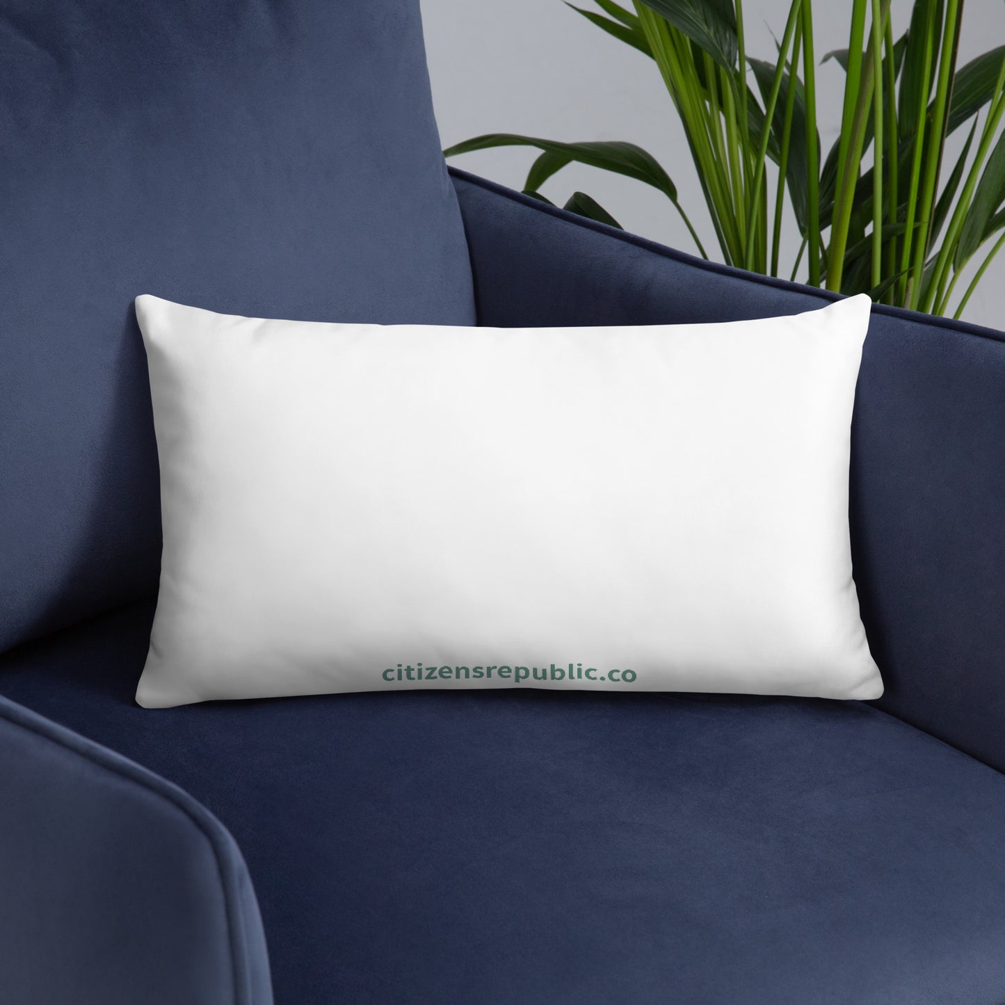 Aqua Succulent Pillow