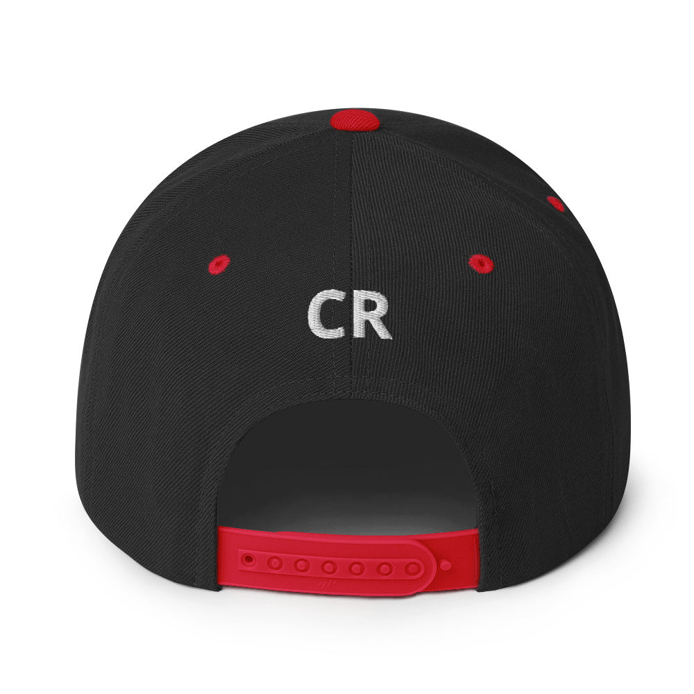 Papa Bear 2.0 Snapback Hat