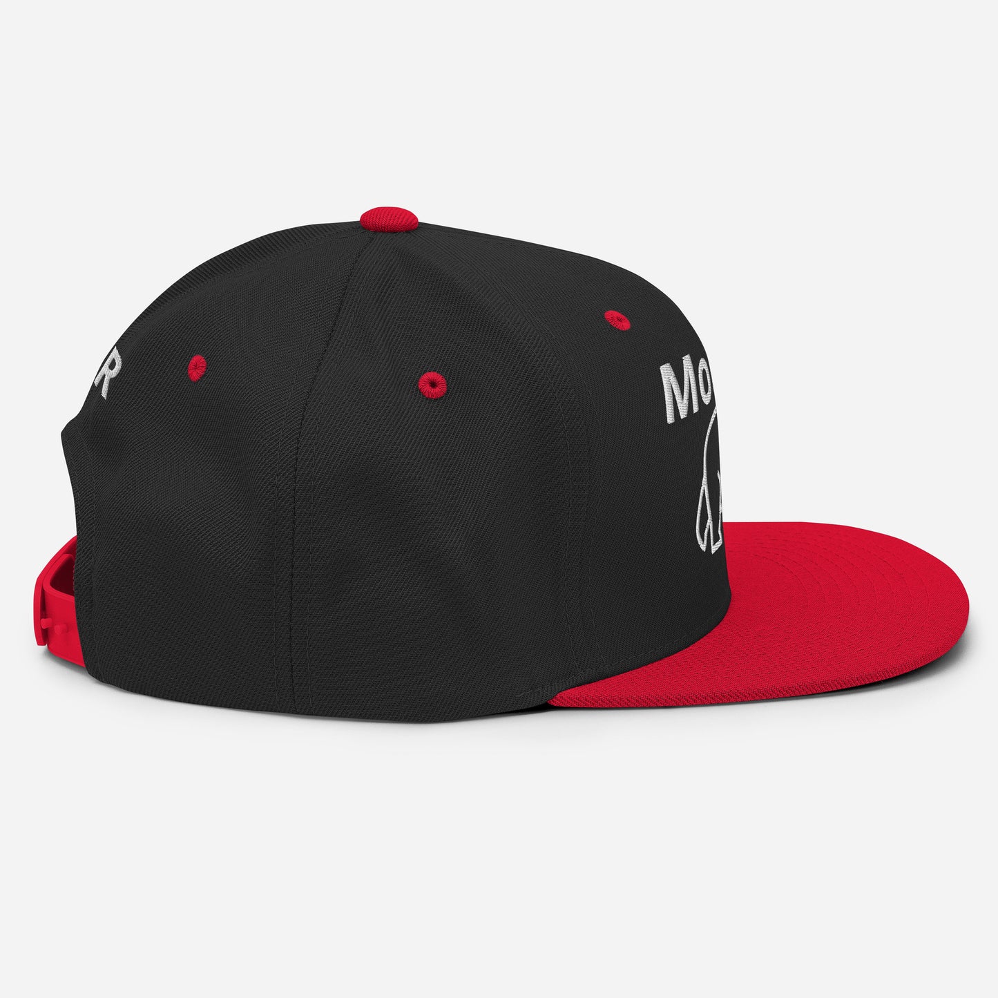 Momma Bear 2.0 Snapback Hat