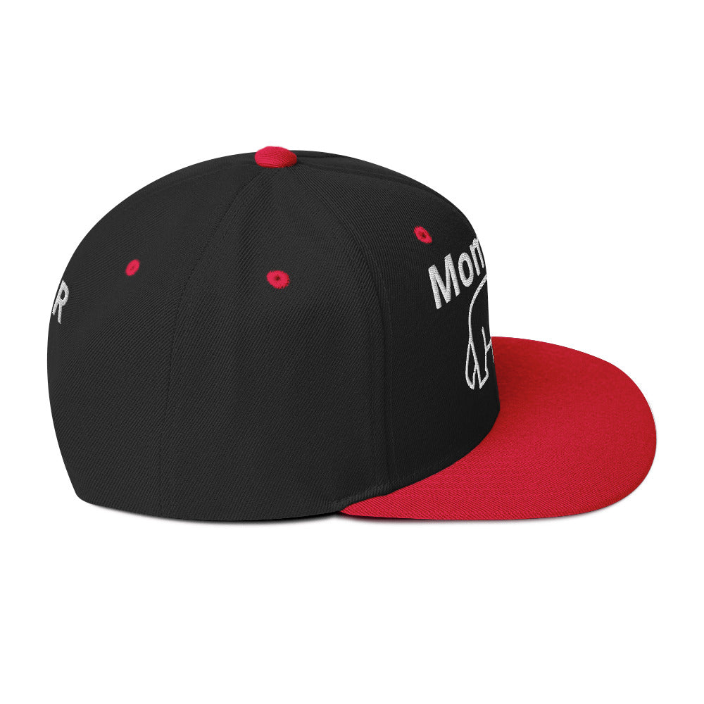 Momma Bear 2.0 Snapback Hat