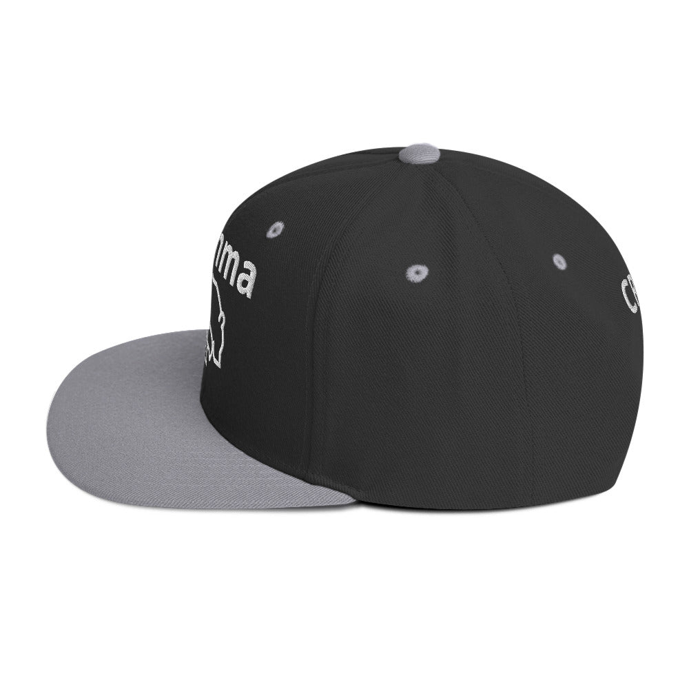 Momma Bear 2.0 Snapback Hat