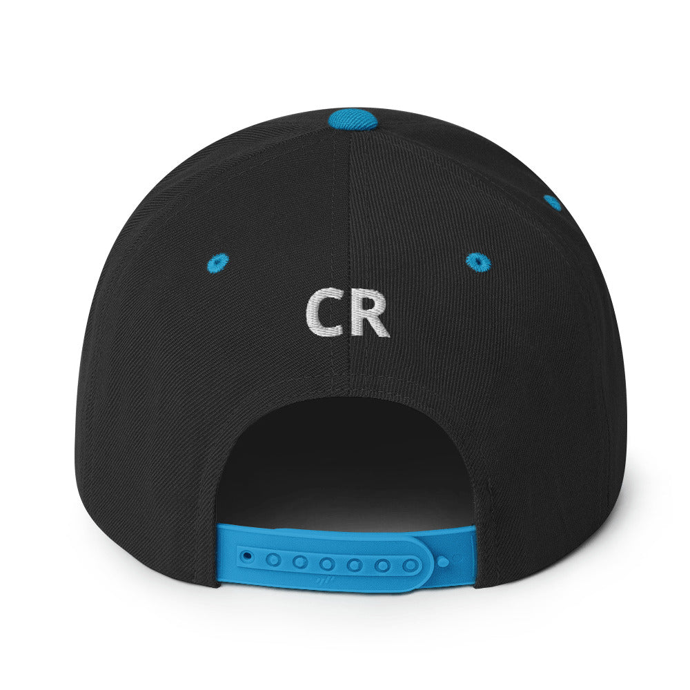 Papa Bear 2.0 Snapback Hat
