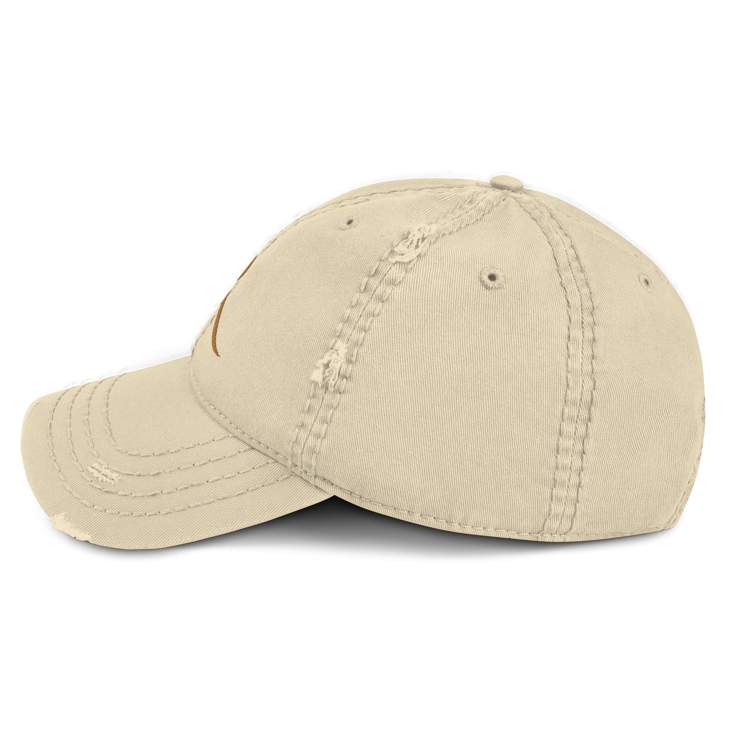 CR Distressed Cap