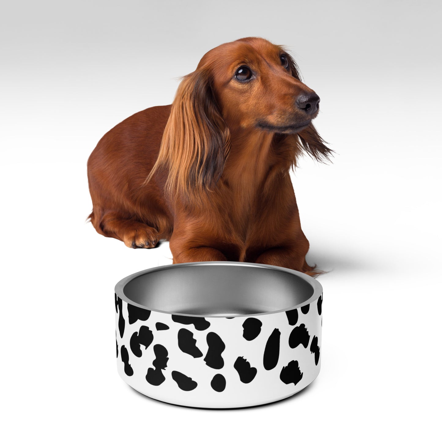 Spotted Pet Bowl