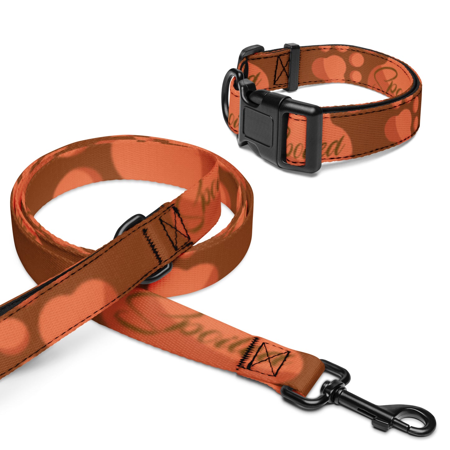 So Spoiled Pet Collar & Leash