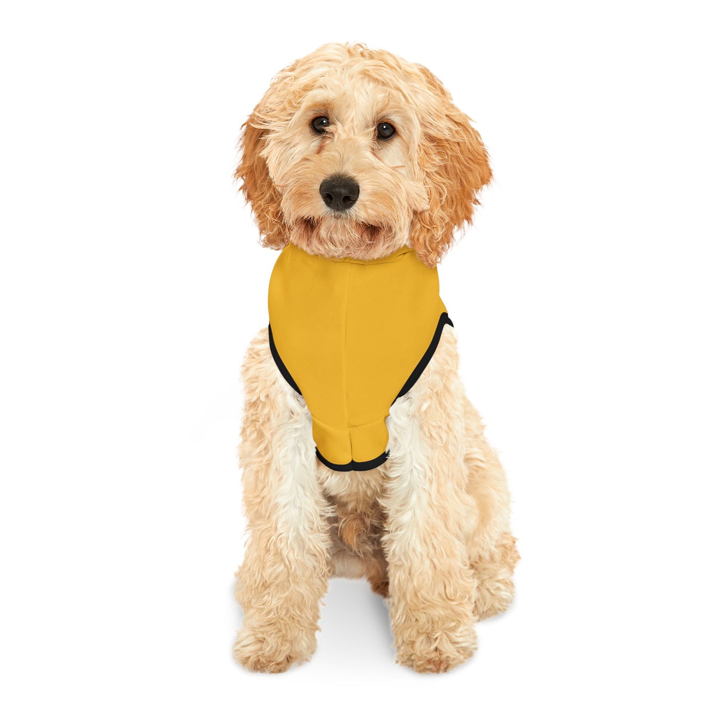 I.D.N.C. Yellow Hoodie