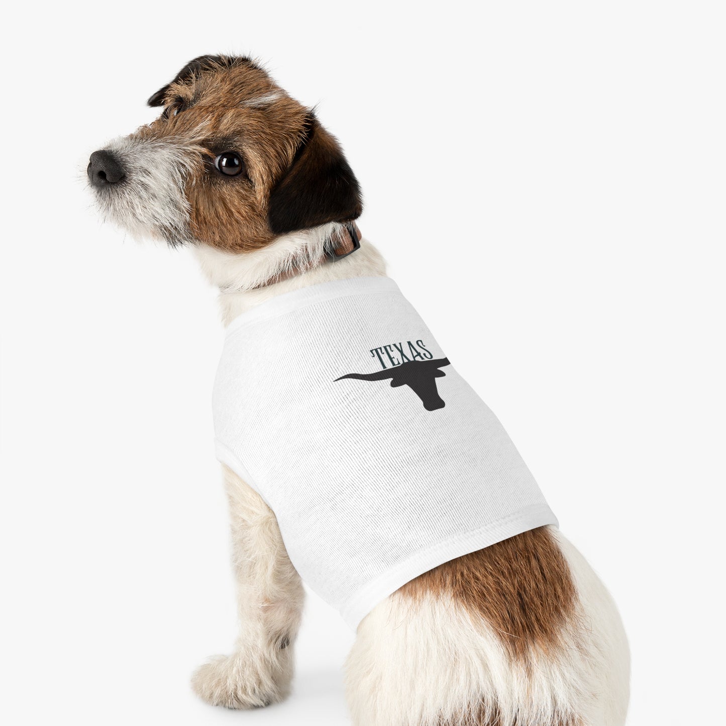 Texas Longhorn Tank