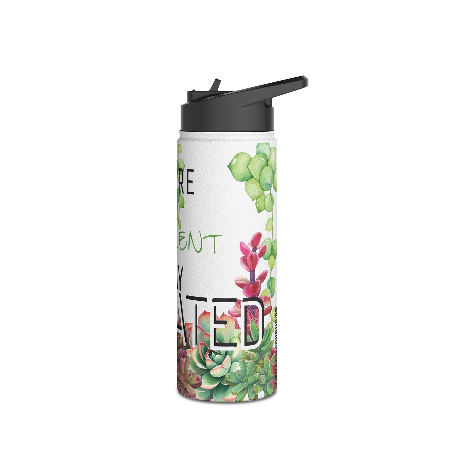 Not A Succulent Stainless Steel Water Bottle w/ Standard Lid