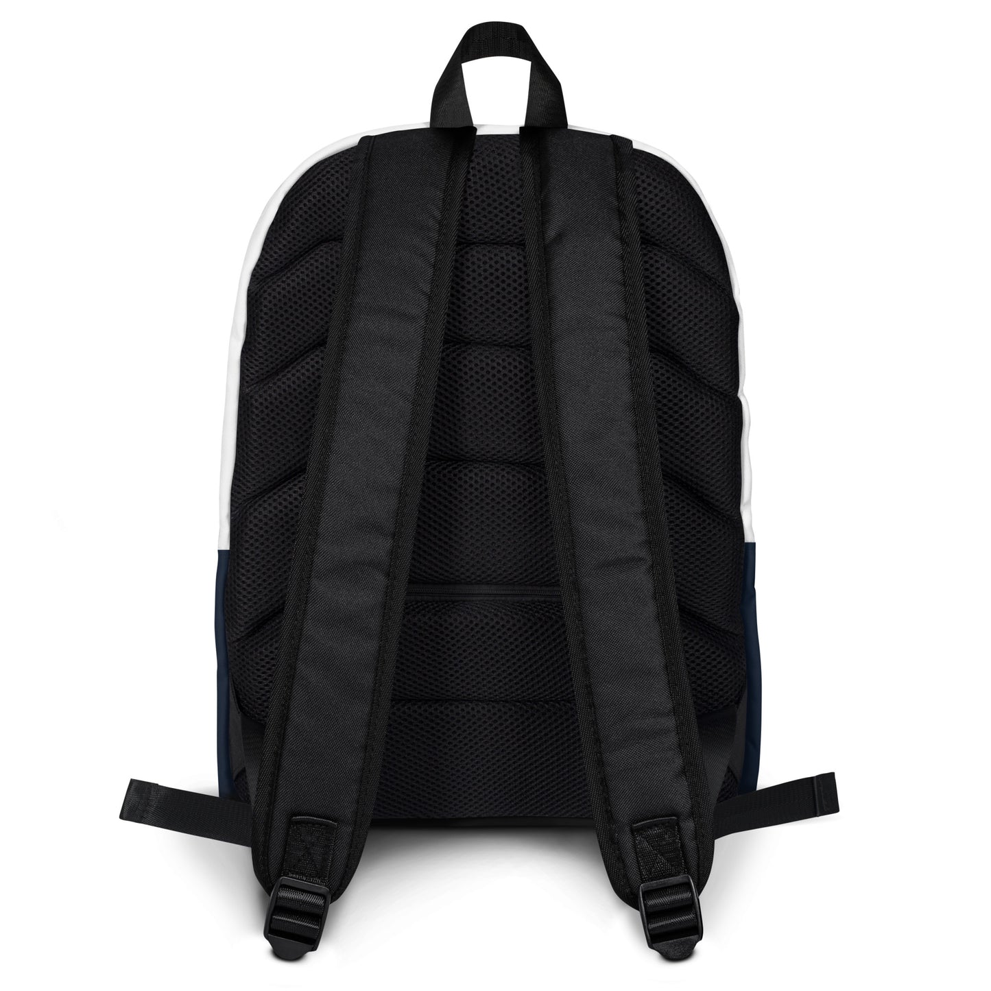 Ombre Backpack