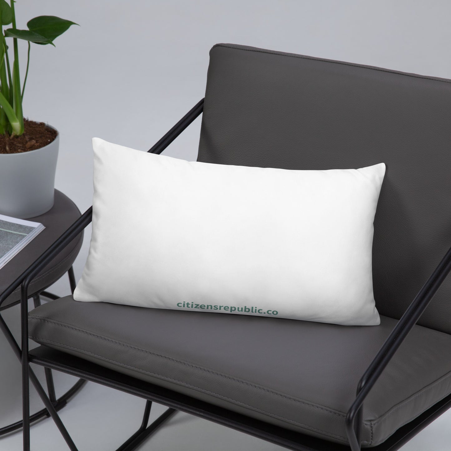Aqua Succulent Pillow