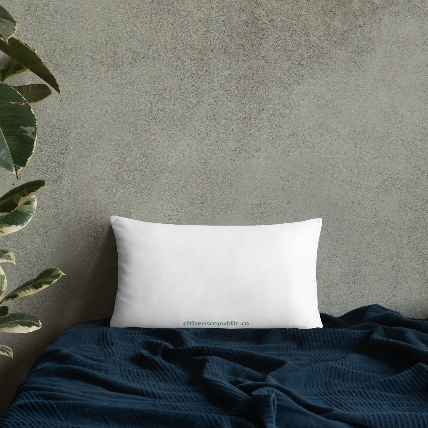 Aqua Succulent Pillow