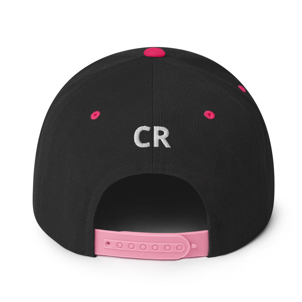 Momma Bear 2.0 Snapback Hat