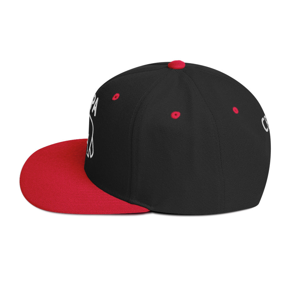 Papa Bear 2.0 Snapback Hat