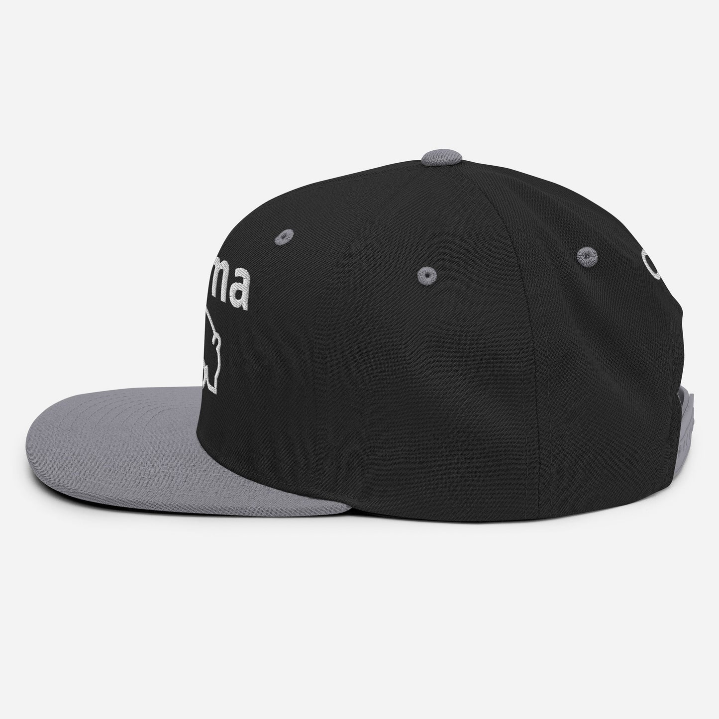 Momma Bear 2.0 Snapback Hat