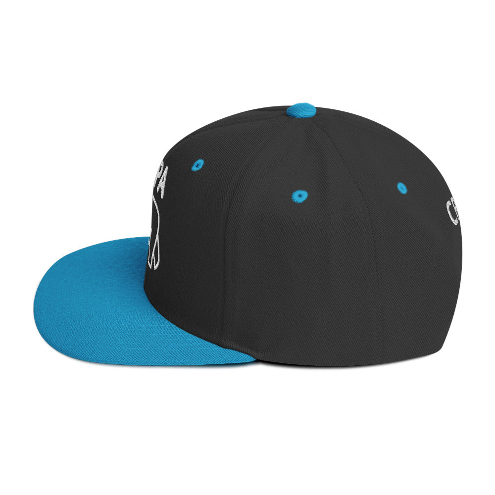 Papa Bear 2.0 Snapback Hat