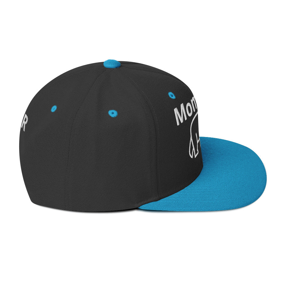 Momma Bear 2.0 Snapback Hat