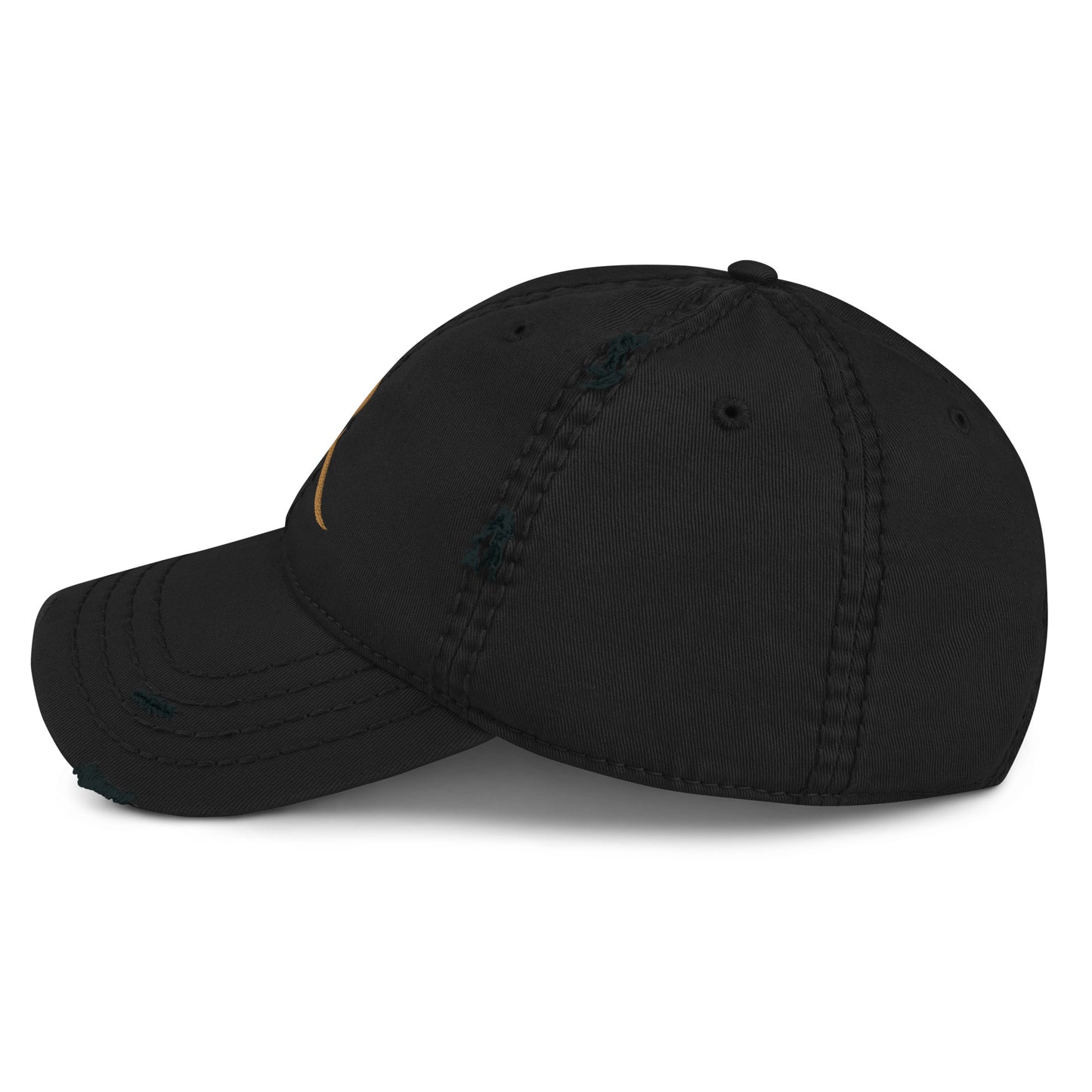 CR Distressed Cap