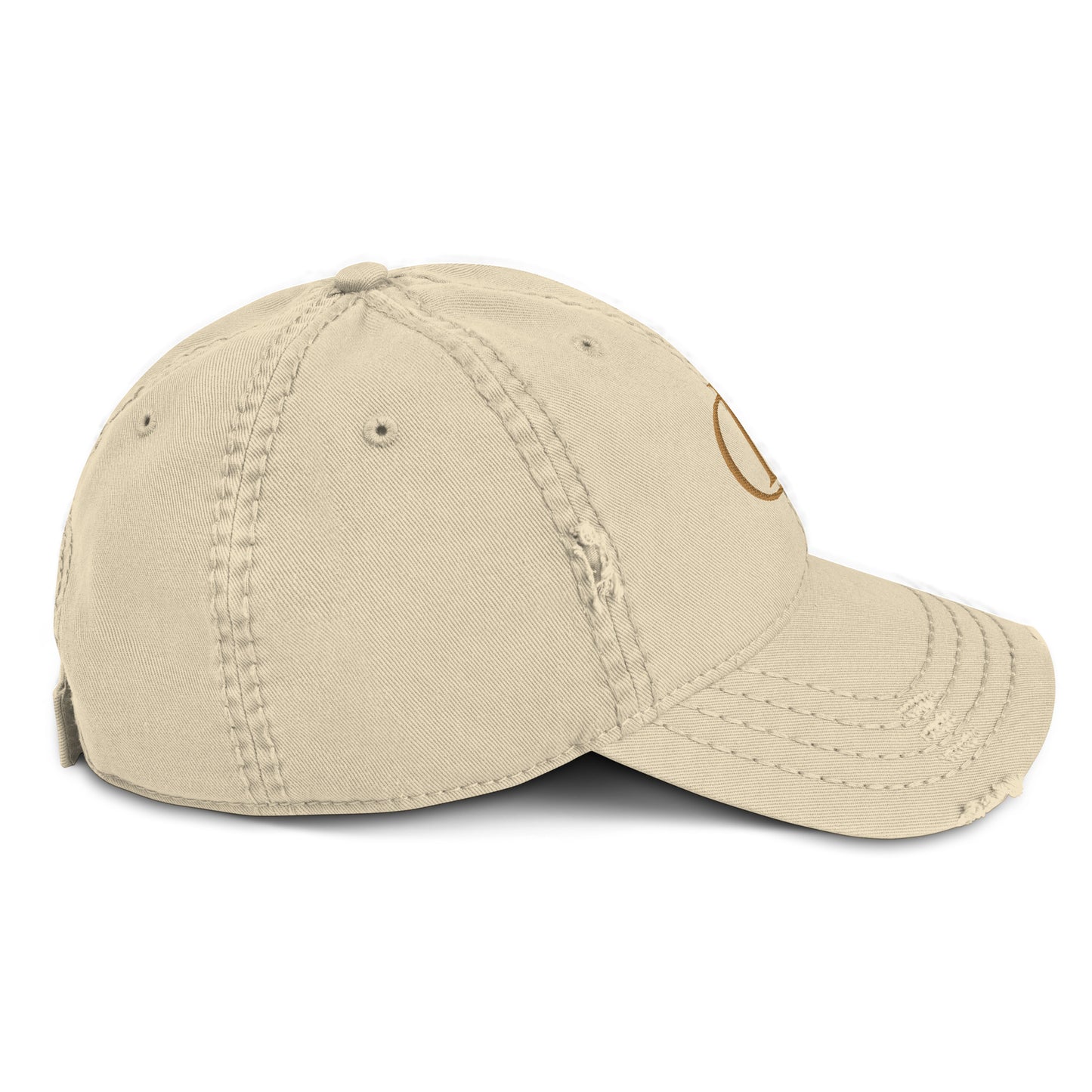 CR Distressed Cap