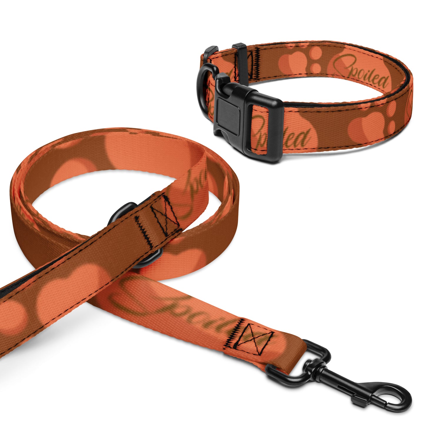 So Spoiled Pet Collar & Leash