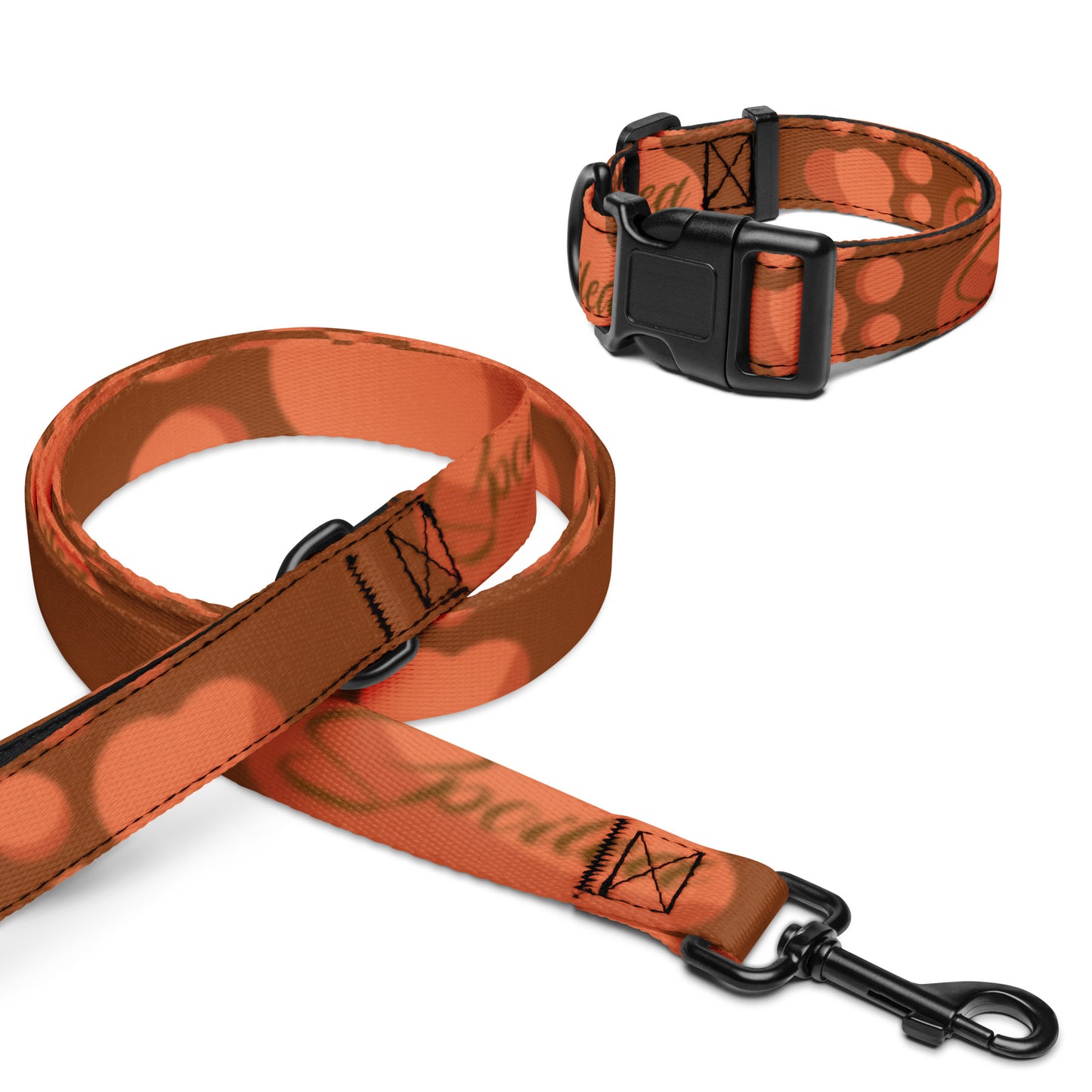 So Spoiled Pet Collar & Leash