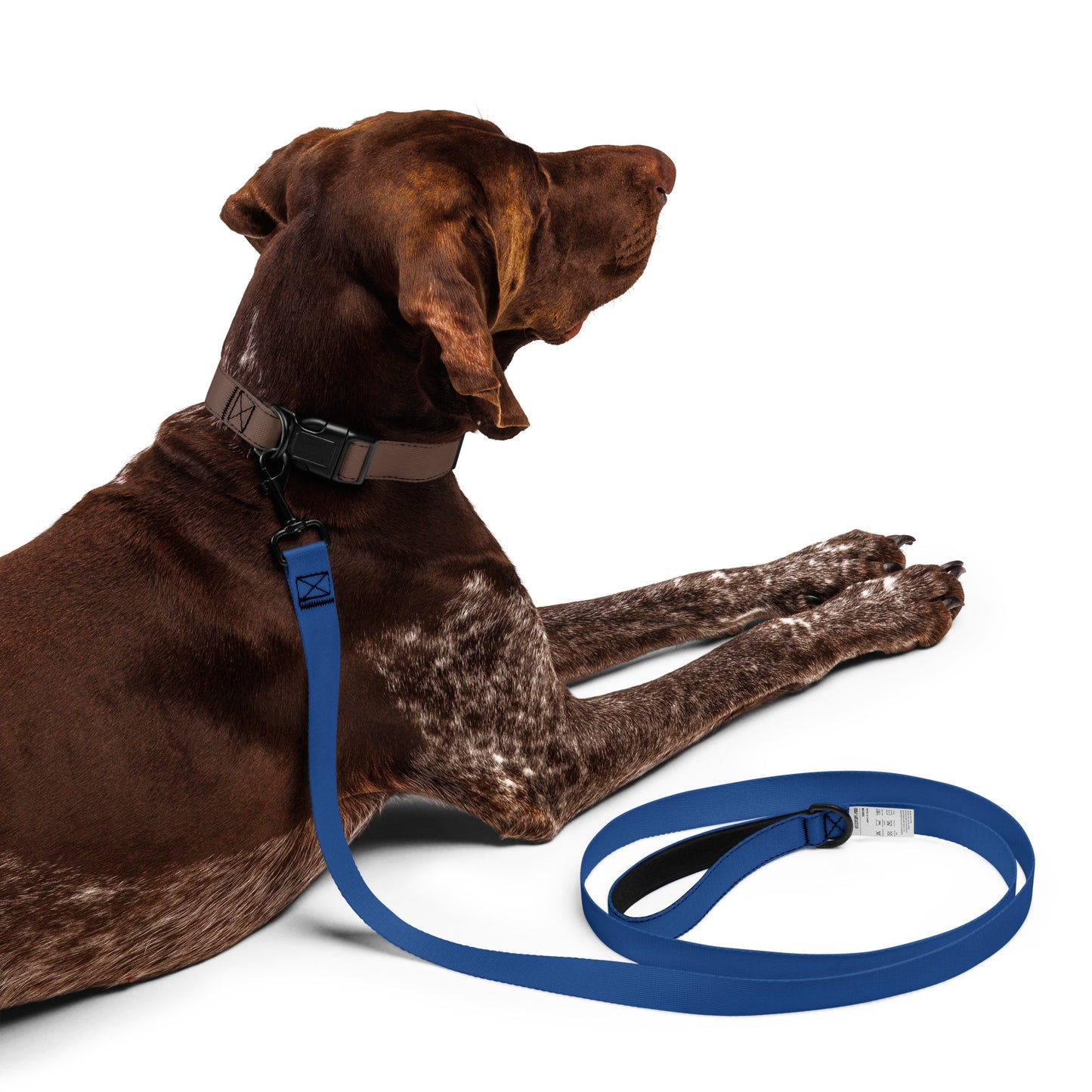 Navy Pet Leash
