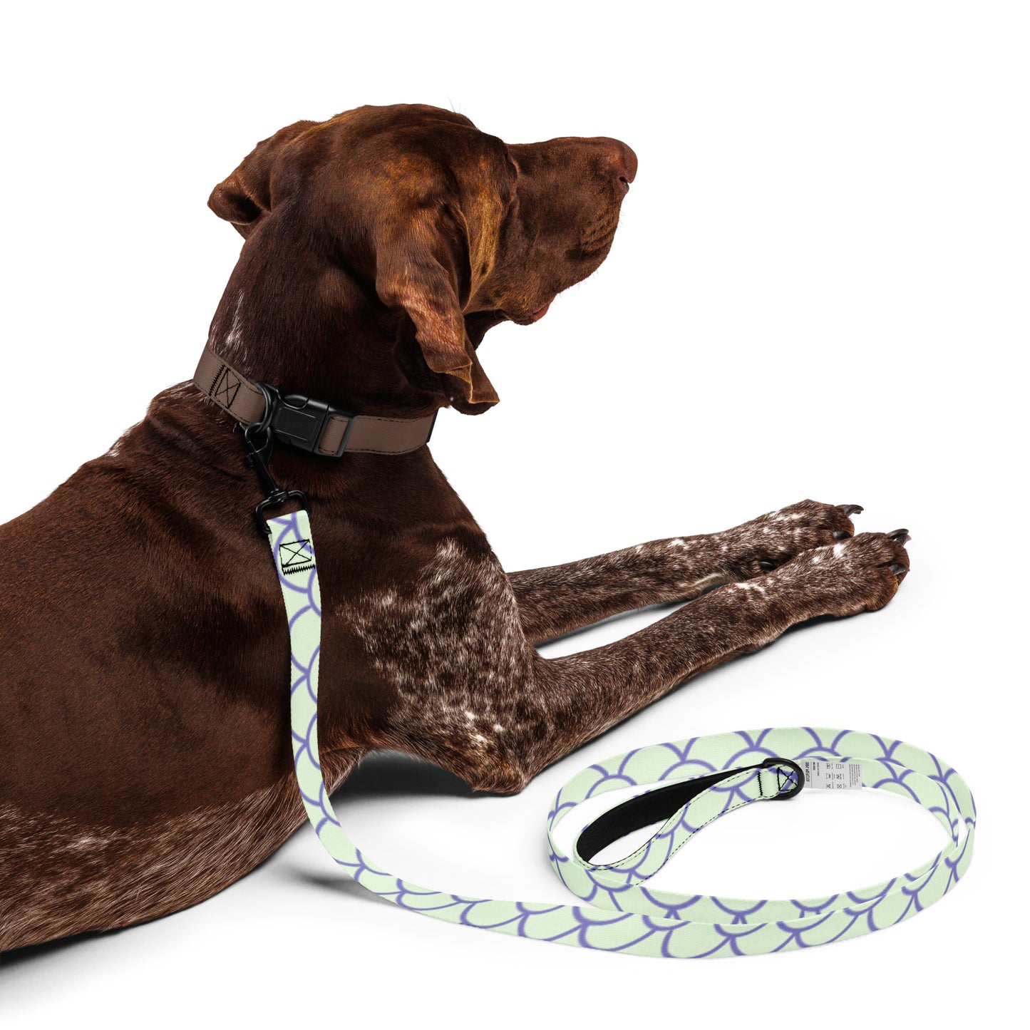 Purple Scallops Pet Leash