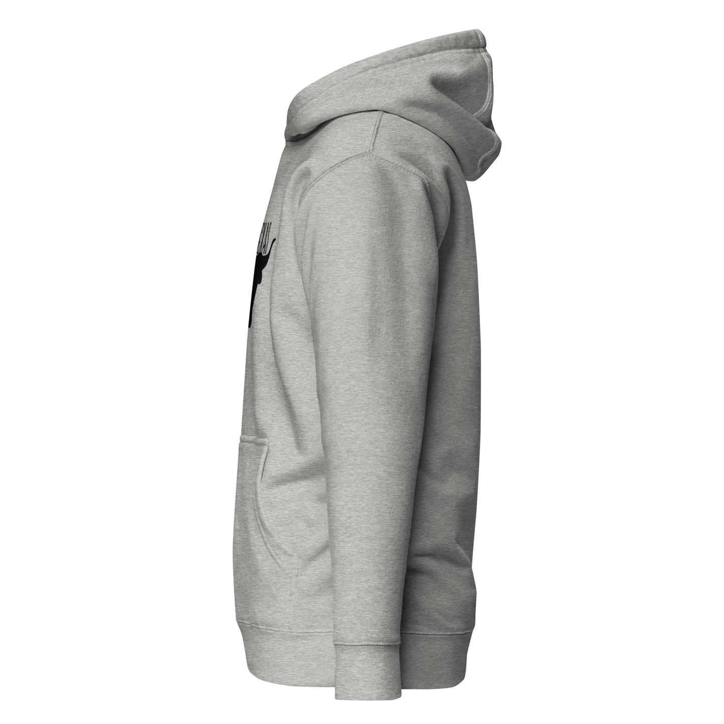 TX Longhorn Hoodie