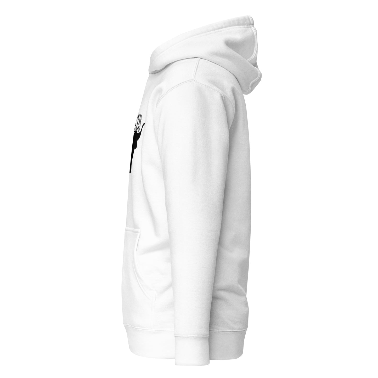 TX Longhorn Hoodie